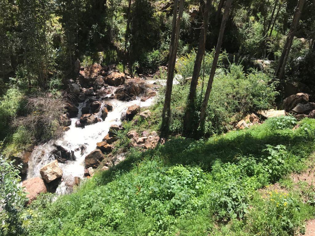 Bamboo Lodge Sacred Valley ปีซัก ภายนอก รูปภาพ
